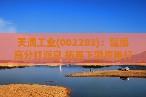 天润工业(002283)：延续高分红派息 拓展下游应用打开成长空间