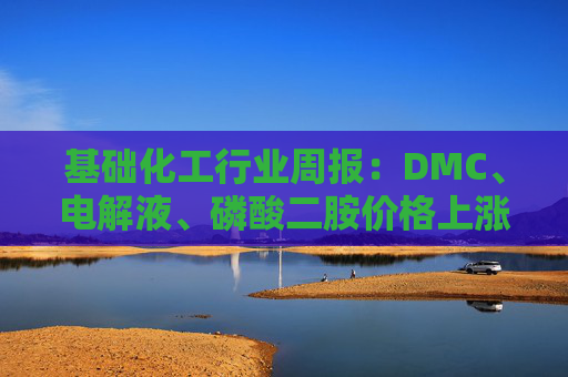 基础化工行业周报：DMC、电解液、磷酸二胺价格上涨 关注反内卷和铬盐