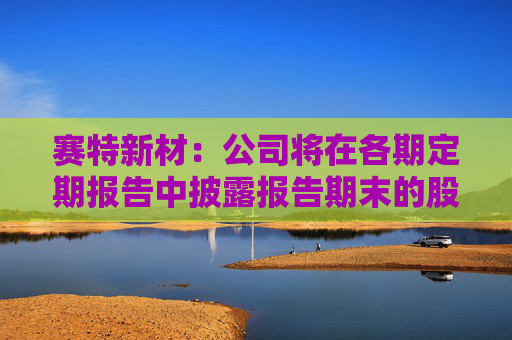 赛特新材：公司将在各期定期报告中披露报告期末的股东人数