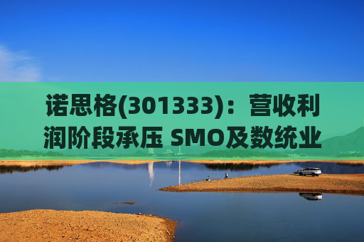 诺思格(301333)：营收利润阶段承压 SMO及数统业务保持稳健增长  第1张