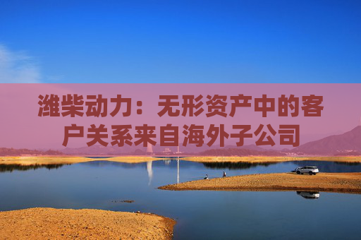 潍柴动力：无形资产中的客户关系来自海外子公司