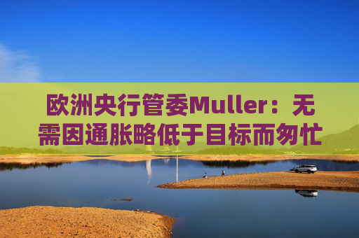 欧洲央行管委Muller：无需因通胀略低于目标而匆忙降息