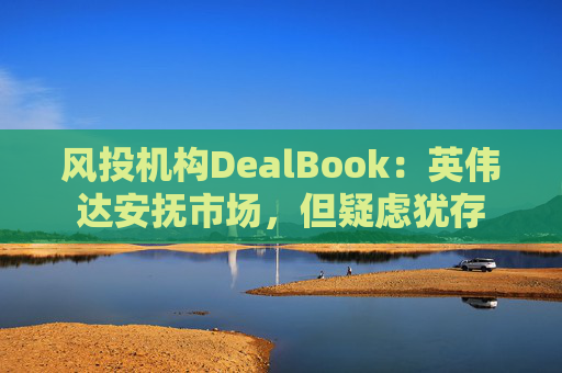 风投机构DealBook：英伟达安抚市场，但疑虑犹存