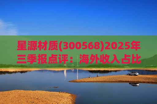 星源材质(300568)2025年三季报点评：海外收入占比提升 盈利水平改善