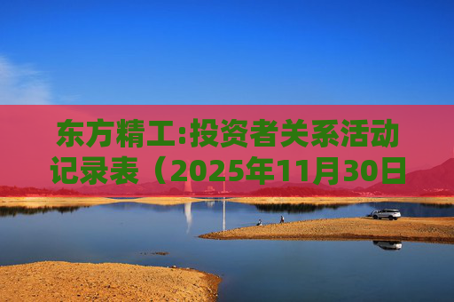 东方精工:投资者关系活动记录表（2025年11月30日）
