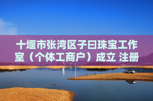 十堰市张湾区子曰珠宝工作室（个体工商户）成立 注册资本10万人民币  第1张