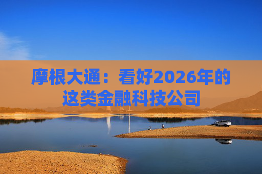 摩根大通：看好2026年的这类金融科技公司