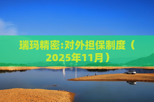 瑞玛精密:对外担保制度（2025年11月）  第1张