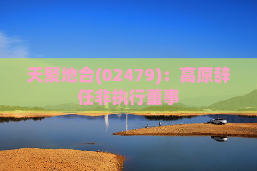天聚地合(02479)：高原辞任非执行董事