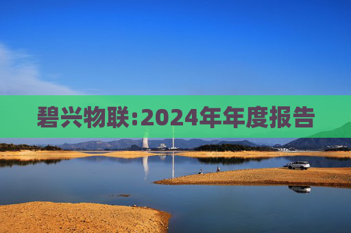 碧兴物联:2024年年度报告  第1张