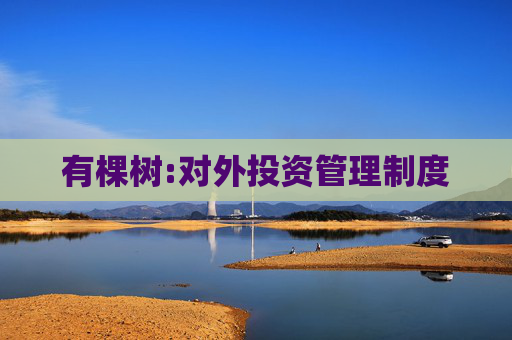 有棵树:对外投资管理制度