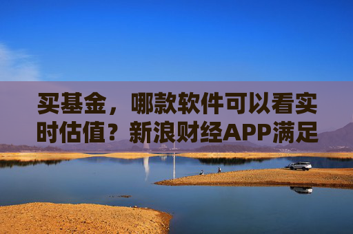 买基金，哪款软件可以看实时估值？新浪财经APP满足你的投资需求