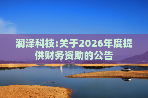 润泽科技:关于2026年度提供财务资助的公告