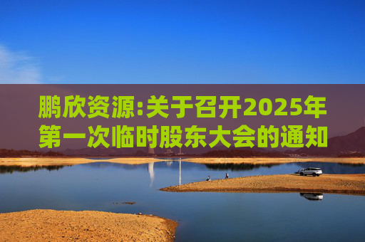 鹏欣资源:关于召开2025年第一次临时股东大会的通知