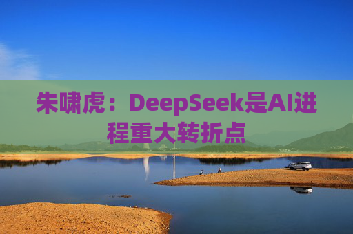 朱啸虎：DeepSeek是AI进程重大转折点