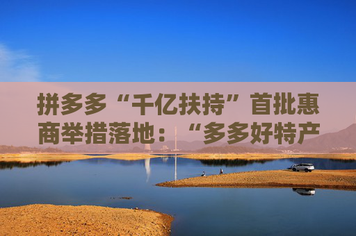 拼多多“千亿扶持”首批惠商举措落地：“多多好特产”等专项启动