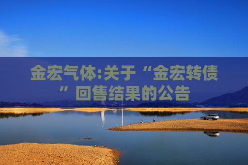 金宏气体:关于“金宏转债”回售结果的公告