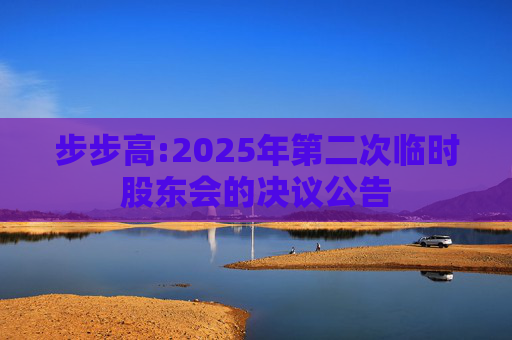 步步高:2025年第二次临时股东会的决议公告