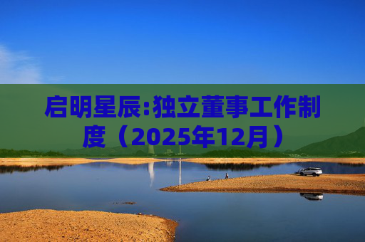 启明星辰:独立董事工作制度（2025年12月）