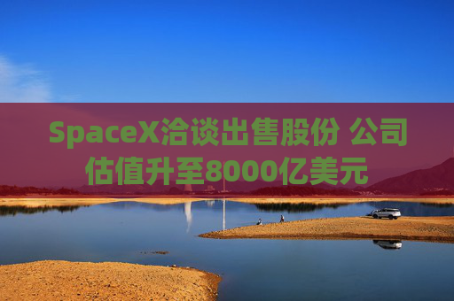 SpaceX洽谈出售股份 公司估值升至8000亿美元