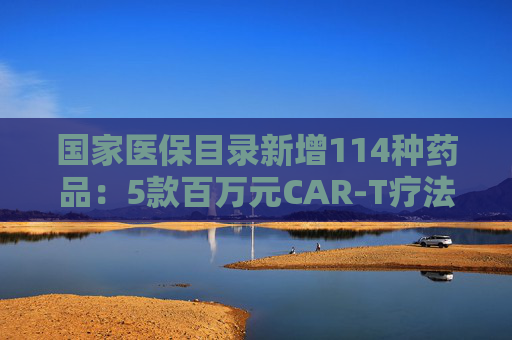 国家医保目录新增114种药品：5款百万元CAR-T疗法纳入商保，企业代表直呼这是“重要里程碑”