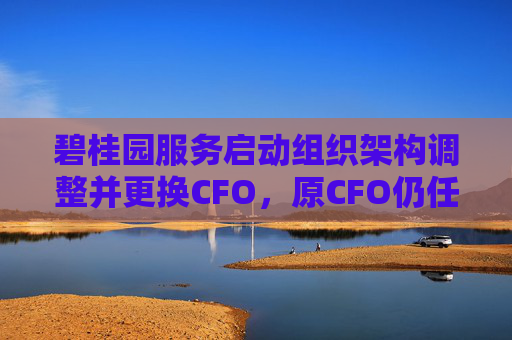 碧桂园服务启动组织架构调整并更换CFO，原CFO仍任执行总裁负责孵化业务板块