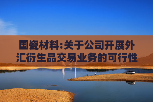 国瓷材料:关于公司开展外汇衍生品交易业务的可行性分析报告