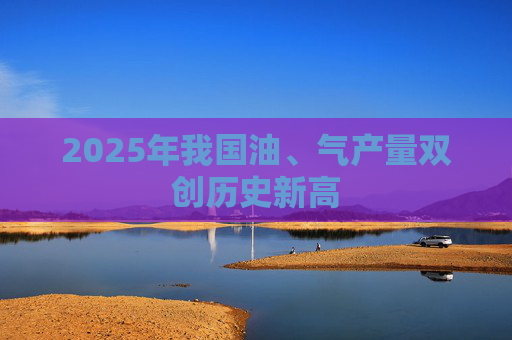 2025年我国油、气产量双创历史新高