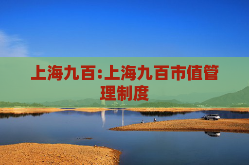 上海九百:上海九百市值管理制度