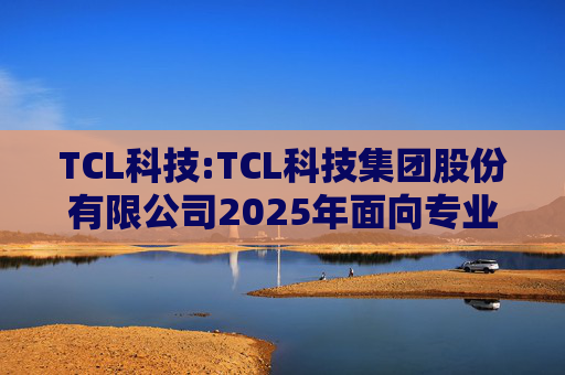 TCL科技:TCL科技集团股份有限公司2025年面向专业投资者公开发行科技创新公司债券（数字经济）（第一期）发行公告