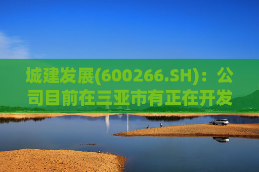城建发展(600266.SH)：公司目前在三亚市有正在开发的房地产项目 同时运营一家度假酒店