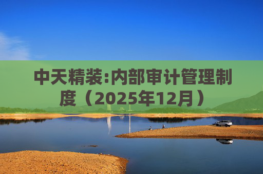 中天精装:内部审计管理制度（2025年12月）