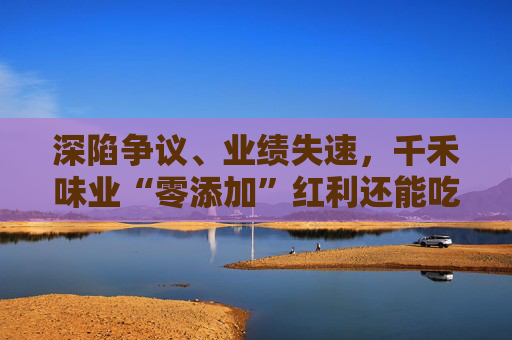 深陷争议、业绩失速，千禾味业“零添加”红利还能吃多久