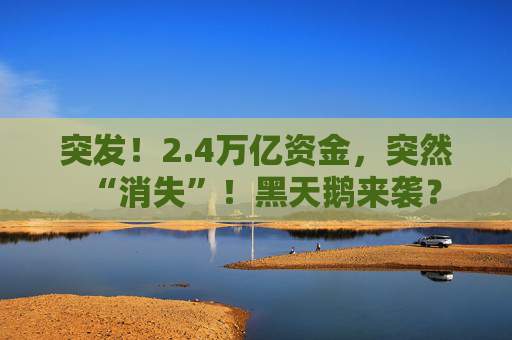 突发！2.4万亿资金，突然“消失”！黑天鹅来袭？