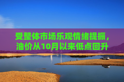 受整体市场乐观情绪提振，油价从10月以来低点回升