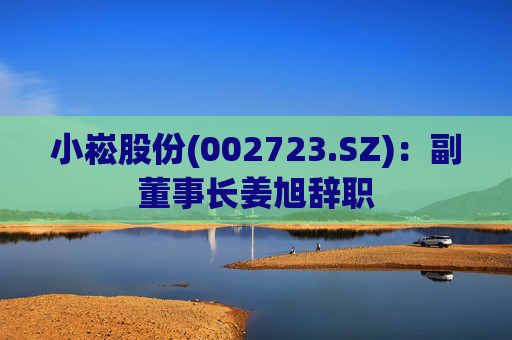 小崧股份(002723.SZ)：副董事长姜旭辞职