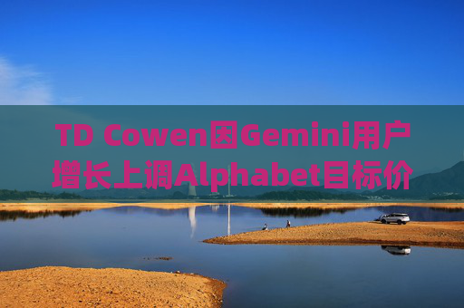 TD Cowen因Gemini用户增长上调Alphabet目标价