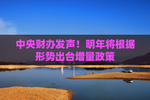 中央财办发声！明年将根据形势出台增量政策