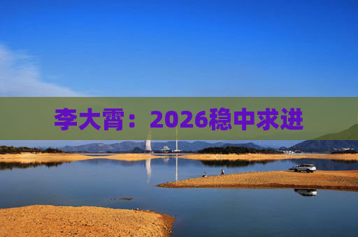 李大霄：2026稳中求进