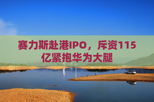 赛力斯赴港IPO，斥资115亿紧抱华为大腿  第1张