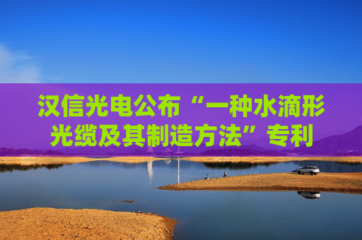 汉信光电公布“一种水滴形光缆及其制造方法”专利  第1张