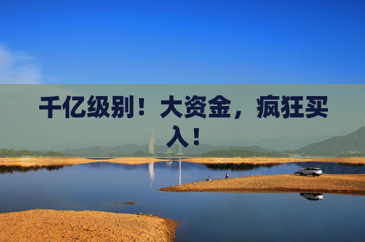 千亿级别！大资金，疯狂买入！  第1张