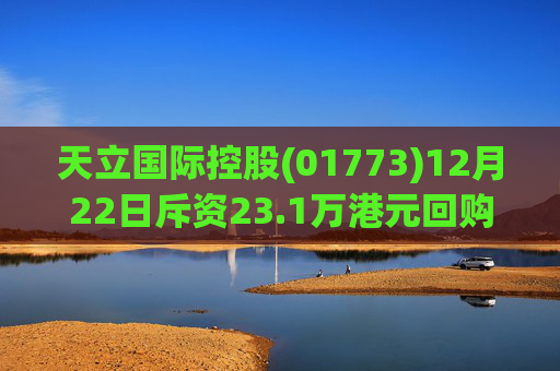 天立国际控股(01773)12月22日斥资23.1万港元回购10万股