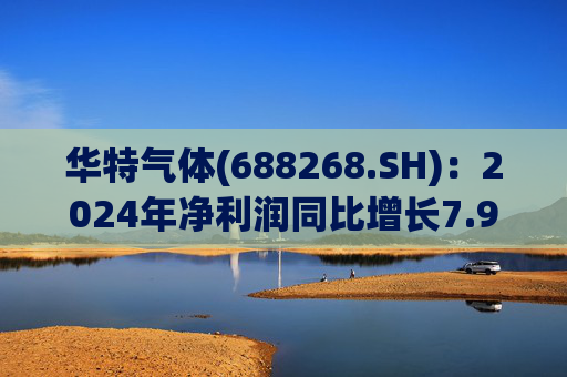 华特气体(688268.SH)：2024年净利润同比增长7.99% 拟10派6元  第1张