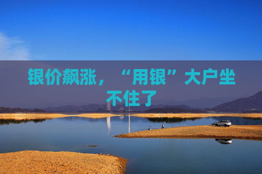 银价飙涨，“用银”大户坐不住了