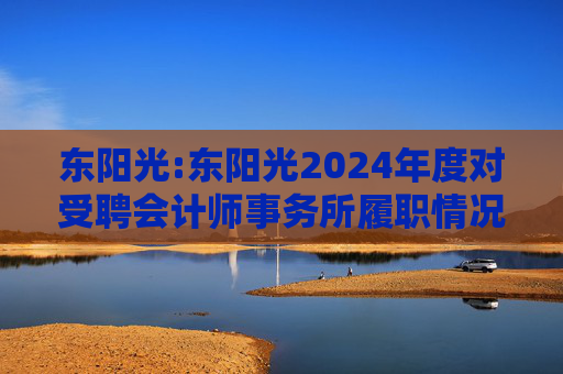 东阳光:东阳光2024年度对受聘会计师事务所履职情况的评估报告