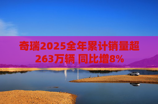 奇瑞2025全年累计销量超263万辆 同比增8%