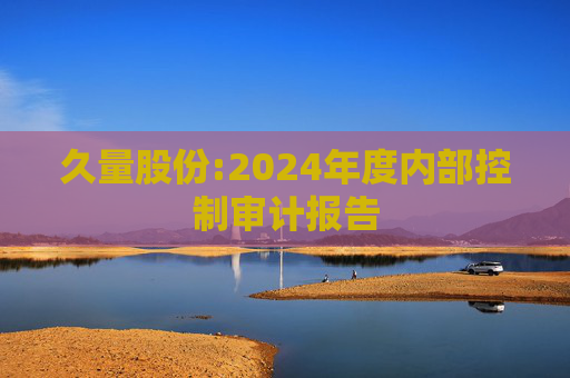 久量股份:2024年度内部控制审计报告  第1张