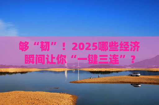 够“韧”！2025哪些经济瞬间让你“一键三连”？