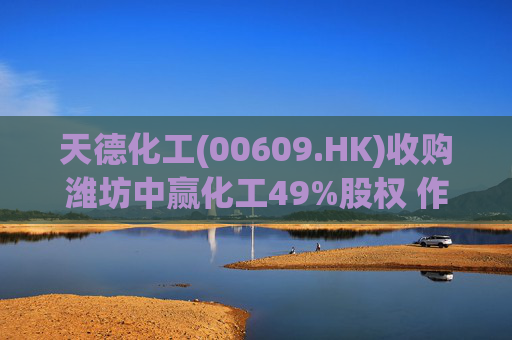 天德化工(00609.HK)收购潍坊中赢化工49%股权 作价8800万元